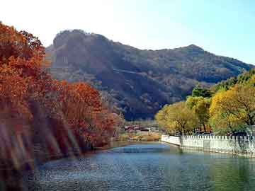 澳门天天免费精准大全，油酸价格